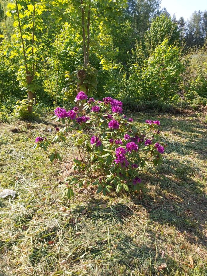 Auf Dem Roten Fels Eppenbrunn Dış mekan fotoğraf